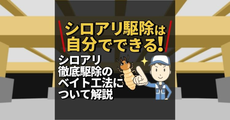 シロアリ駆除を自分でおこなう方法！2つの施工方法と予防対策を解説