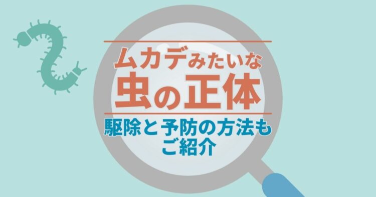 ムカデみたいな虫の正体 駆除と予防の方法もご紹介