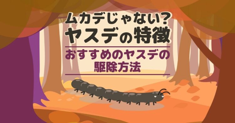 ムカデじゃない？　ヤスデの特徴 おすすめのヤスデの駆除方法