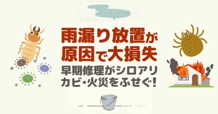 雨漏り放置が原因で大損失 早期修理がシロアリ・カビ・火災をふせぐ！