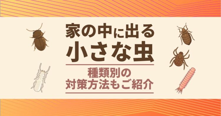 家の中に出る　小さな虫 種類別の対策方法もご紹介