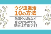 放置するとどうなるの？ウジ虫がもたらす影響とウジ虫退治10選