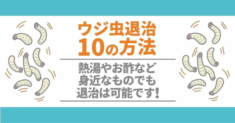 ウジ虫退治　10の方法 熱湯やお酢など身近なものでも退治は可能です！