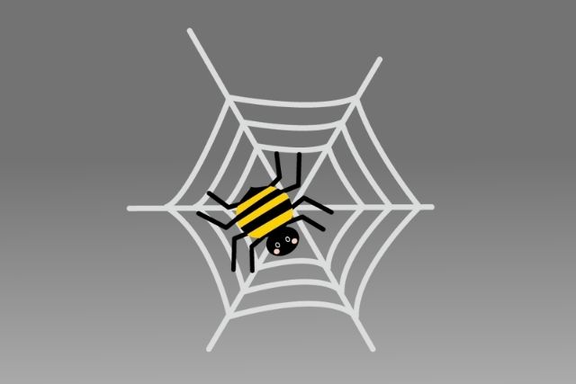蜘蛛