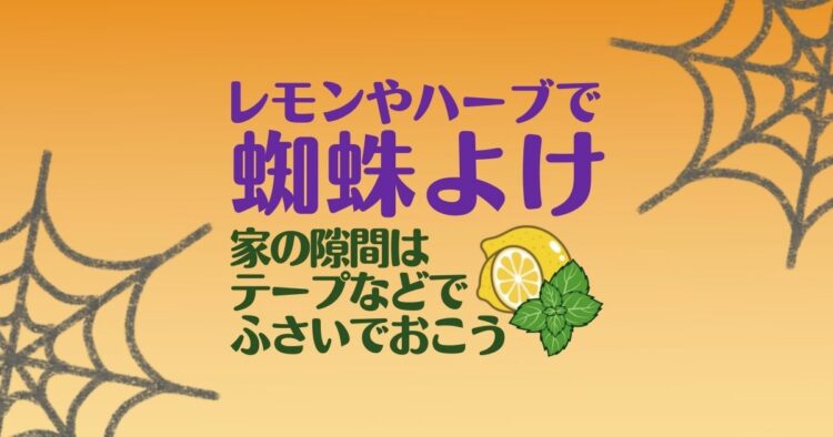レモンやハーブで　蜘蛛よけ 家の隙間はテープなどでふさいでおこう
