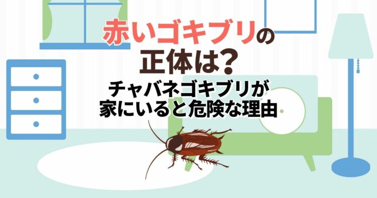 赤いゴキブリの正体は？ チャバネゴキブリが家にいると危険な理由