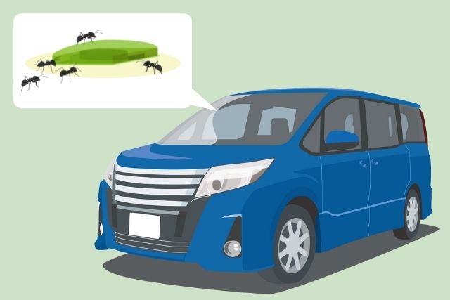 車の中の巣の駆除方法