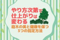 剪定とは？が5分でわかる！初めてでも庭木を美しくできる方法