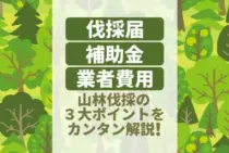 山林伐採の法律違反と予算オーバーを回避！知っておくべき伐採届と費用の基礎知識