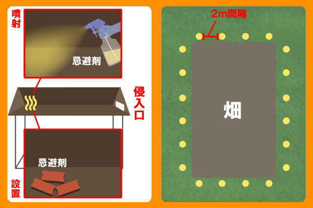 イタチをニオイで追い出す