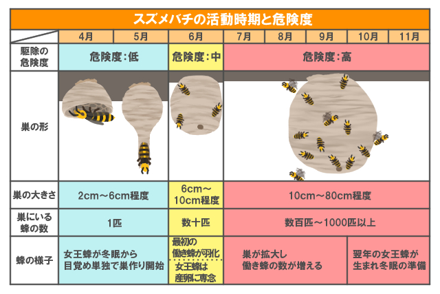 スズメバチの活動時期と危険度