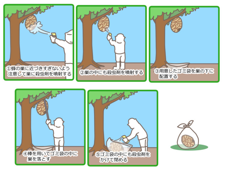 蜂の巣駆除手順
