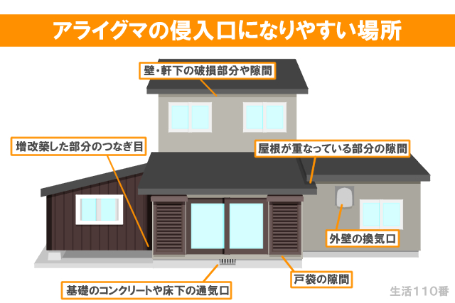 アライグマの侵入しやすい場所