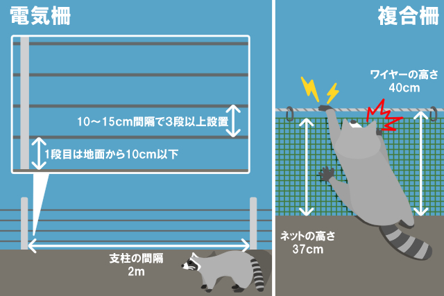 アライグマの電気柵