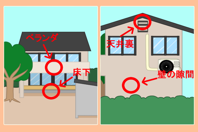 ミツバチの巣ができやすい場所