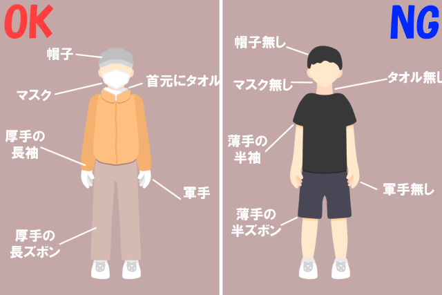 アシナガバチを駆除するときの服装