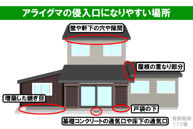 アライグマの侵入口