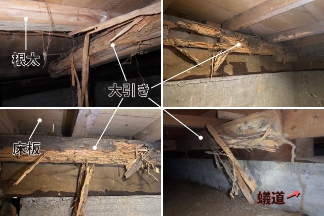 床下のシロアリ被害