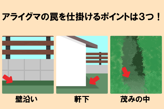 罠をしかけるポイント