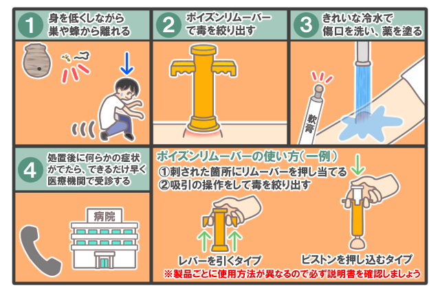 スズメバチに刺されたときの応急処
