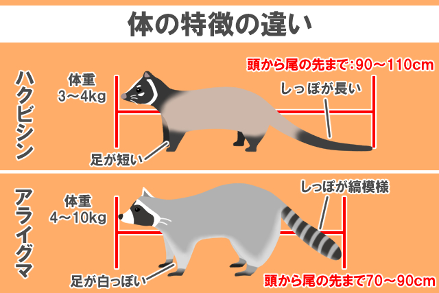 体の違い