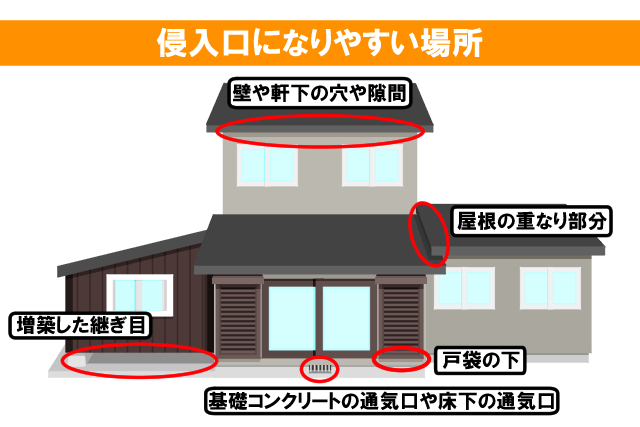 侵入口になりやすい場所