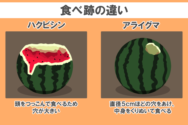 食べ跡の違い