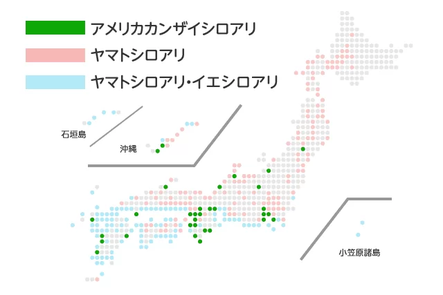 シロアリの分布