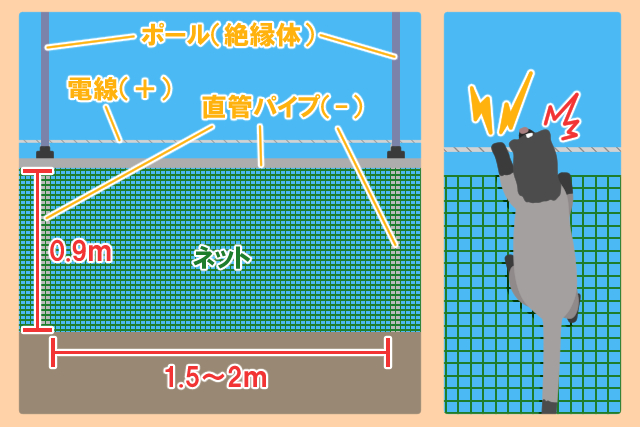 白楽くん