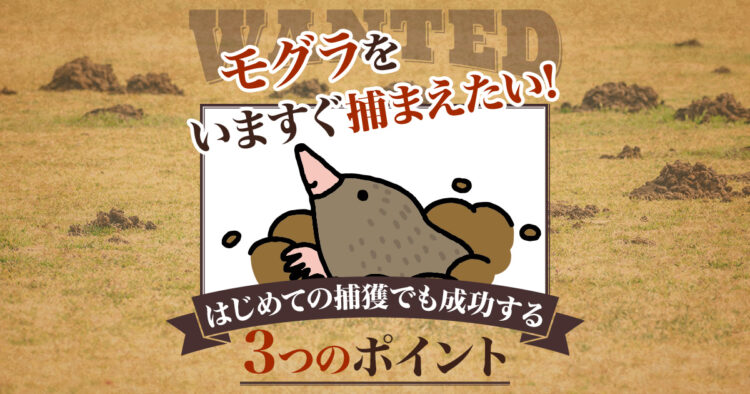 モグラを今すぐ捕まえたい