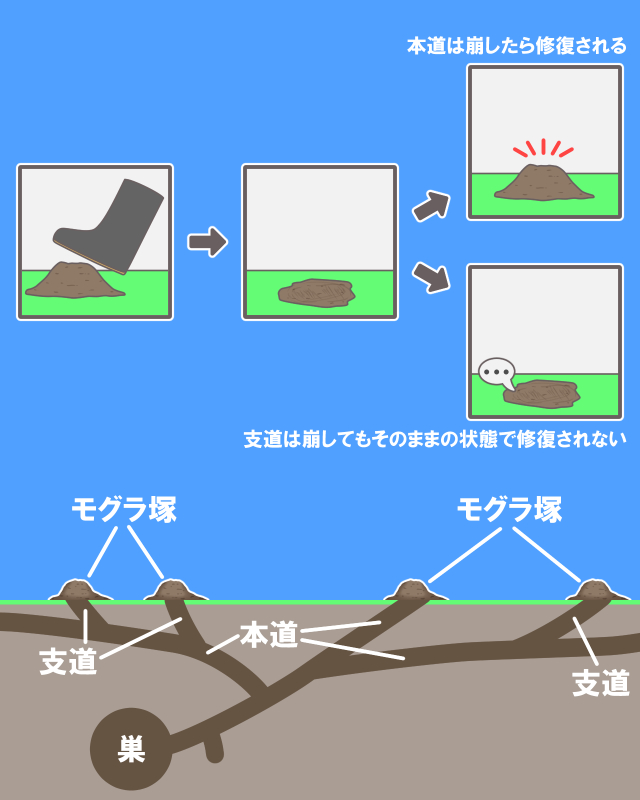 本道の探し方