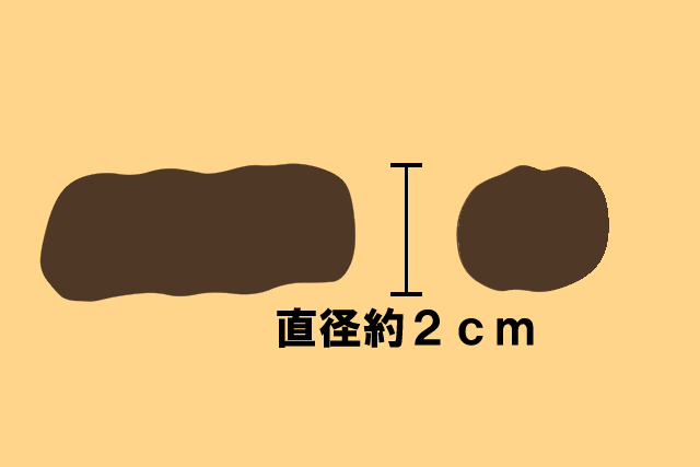 猫のフン