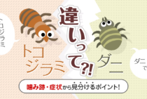 【画像付】トコジラミに刺された跡の見分け方｜噛み跡の特徴と症状