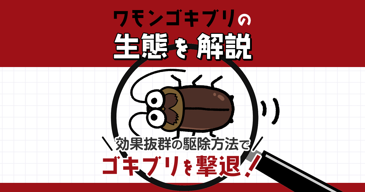 ワモンゴキブリの生態を解説効果抜群の駆除方法でゴキブリを撃退!