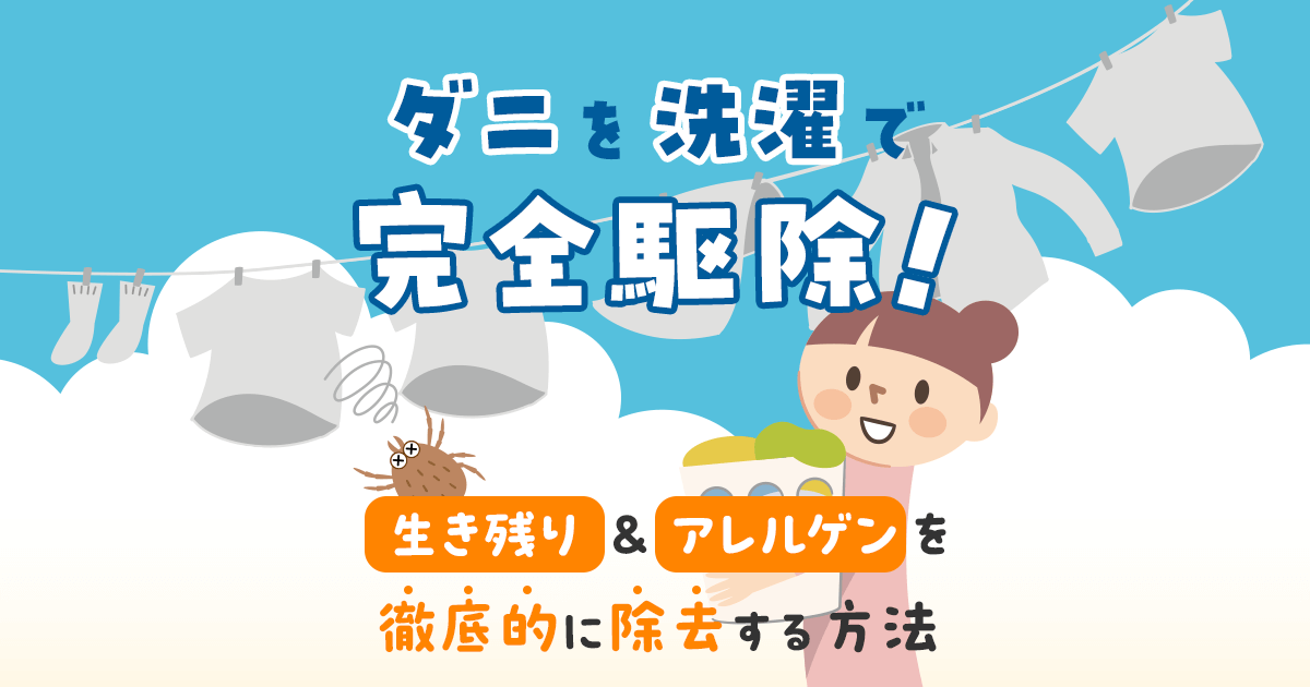 ダニを洗濯で完全駆除!生き残り&アレルゲンを徹底的に除去する方法