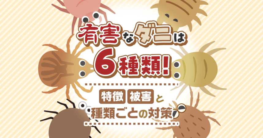 要注意のダニの種類は6種!1記事でわかる種類ごとの特徴と対策のための全知識|生活110番